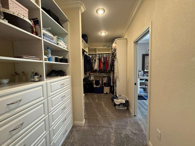 Building Photo - 703 Nutmeg Ave