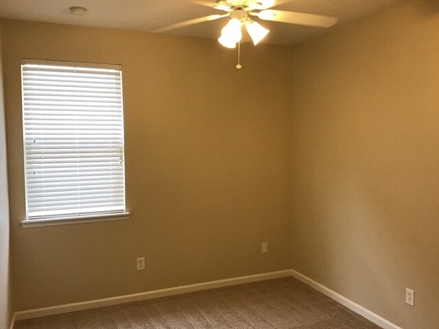 Building Photo - 305 Pine Arbor Cir