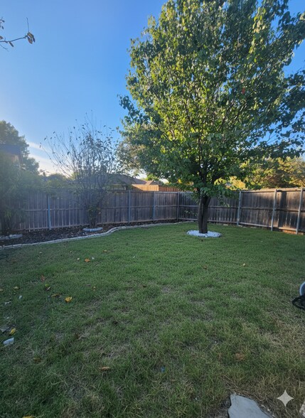 backyard1 - 210 Trellis Pl