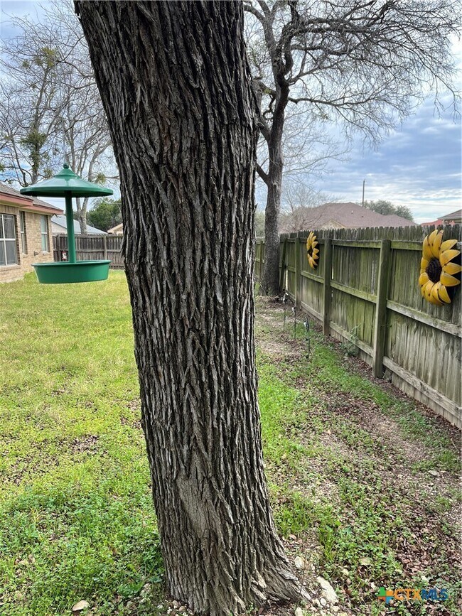 Building Photo - 5504 Eldie Ct