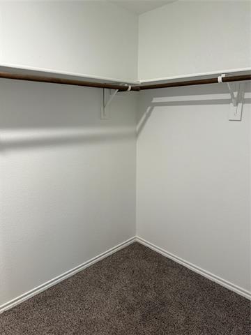 Building Photo - 3213 Permian Dr