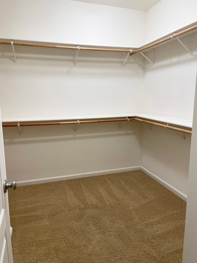 Building Photo - 1736 Montesa Pl