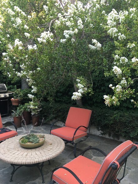 Outdoor patio & bbq - 5105 Morella Ave