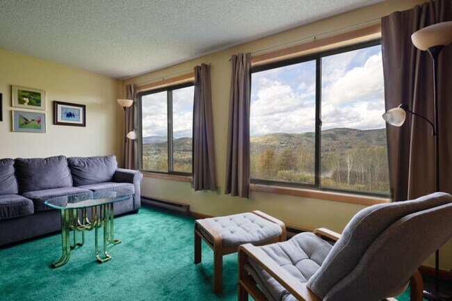 Building Photo - 2+ Bed 2 Bath Furnished Winter Seasonal 6mo Rental Available Nov 1! - $1750/mo