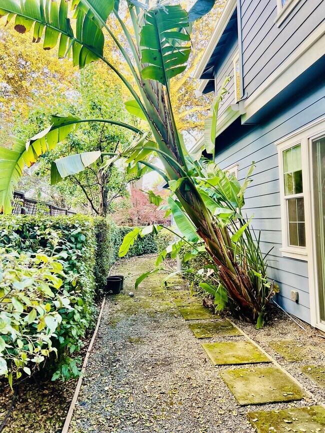 Building Photo - 853 Palou St