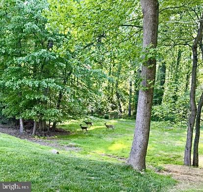 Building Photo - 2235 Abbotsford Dr