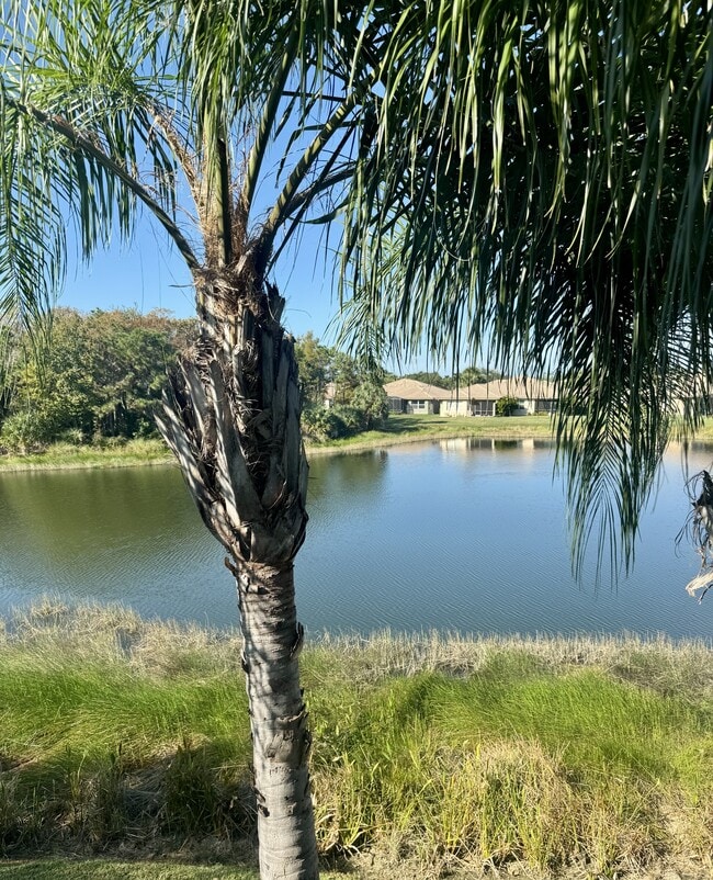 Building Photo - 20000 Barletta Ln