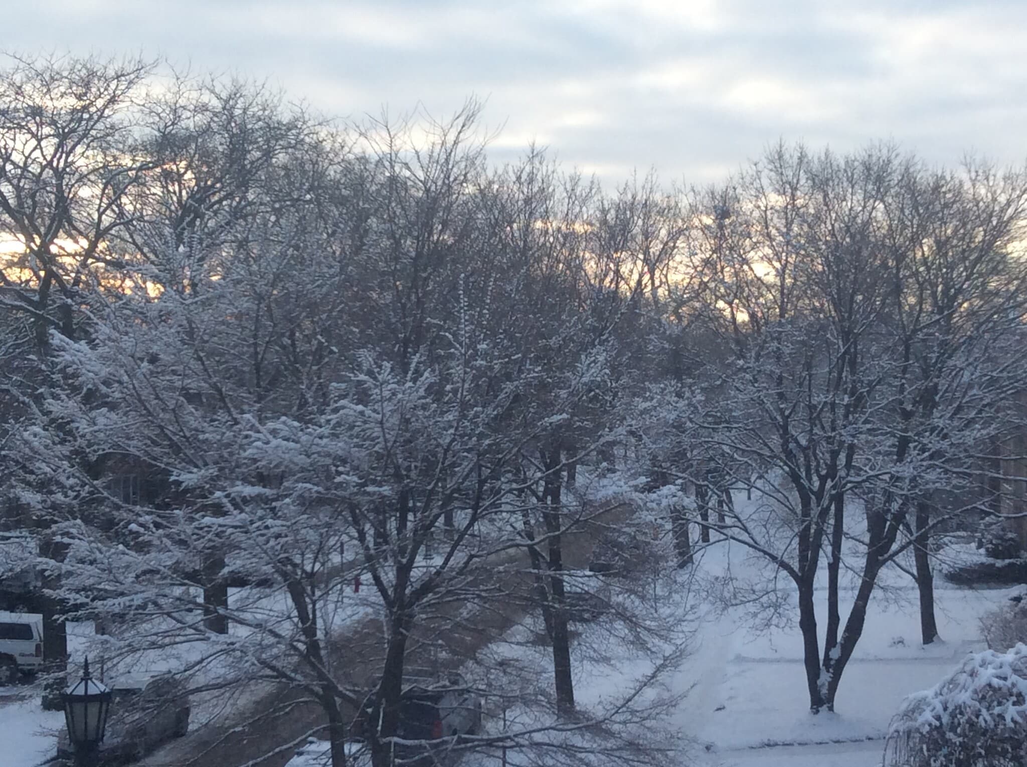 Calming view - 1011 Hull Terrace