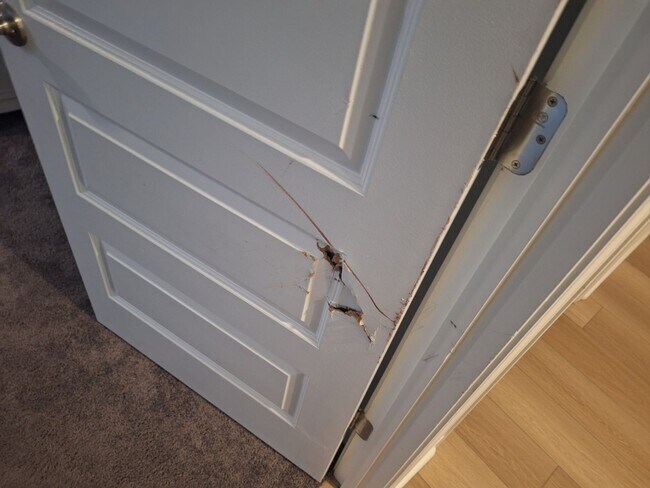 Building Photo - Beautiful Five Bedroom Home Located in Northeast Columbia!