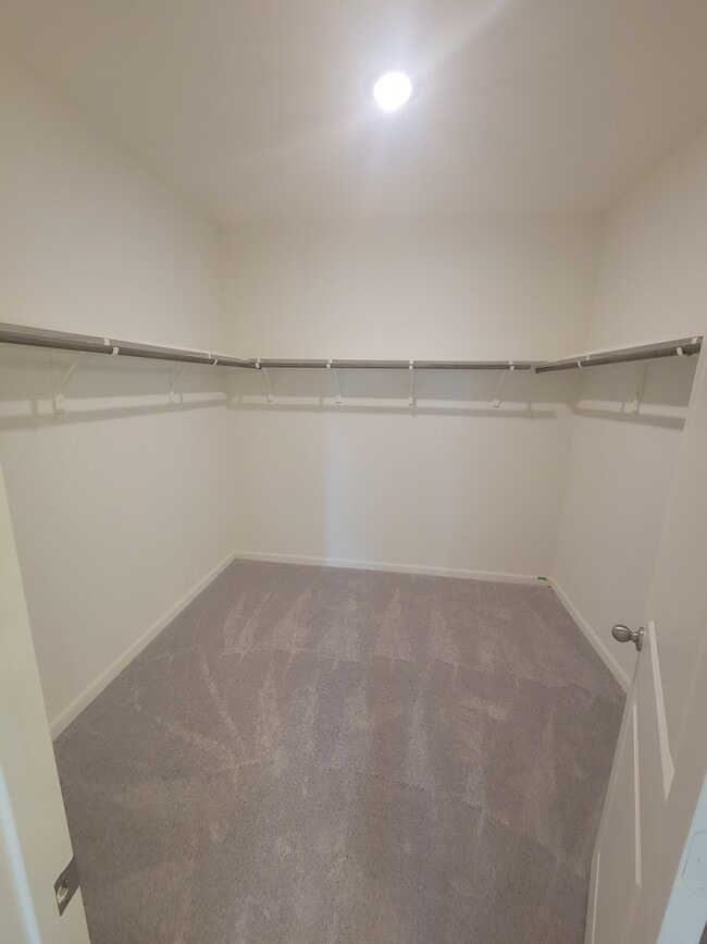 Building Photo - 10316 Castle Lyons Ln