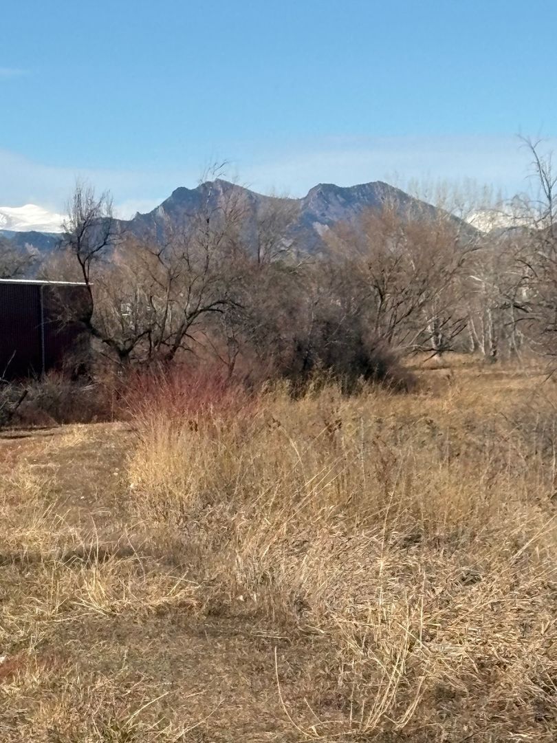 Building Photo - 8094 Miller Cir