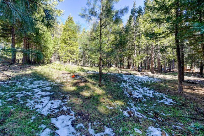 Building Photo - Adorable Home Available June 26th!