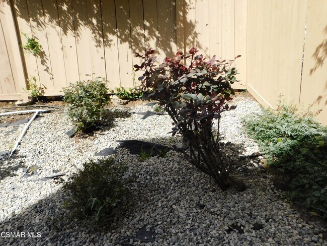 Building Photo - 4887 Santo Dr