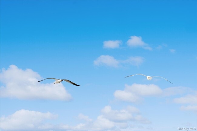 Building Photo - 846 Dune Rd