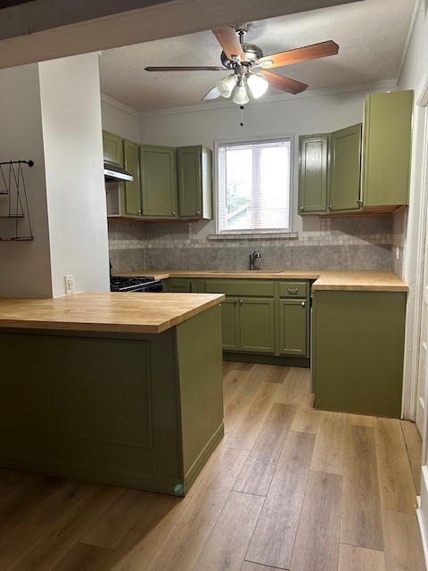 remodeled kitchen - 519 W 14th St