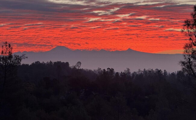 Building Photo - Peaceful Hilltop Retreat with Views | Unfurnished 5BD Executive Home on Private Knoll