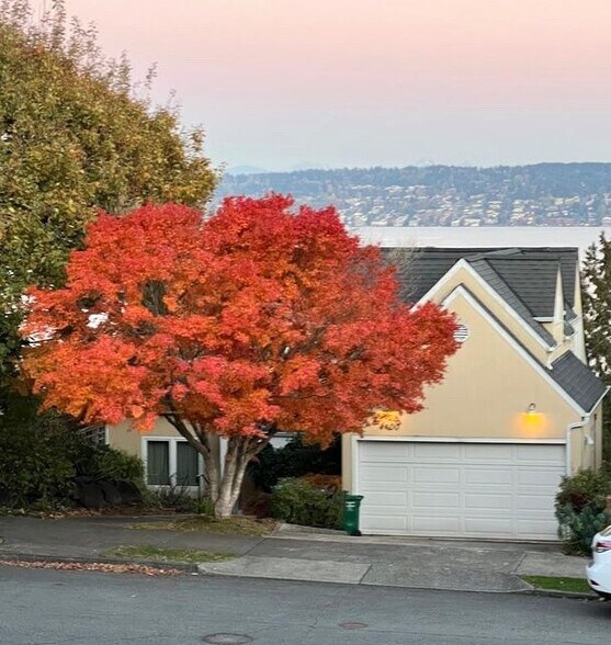 Building Photo - 4400 55th Ave NE