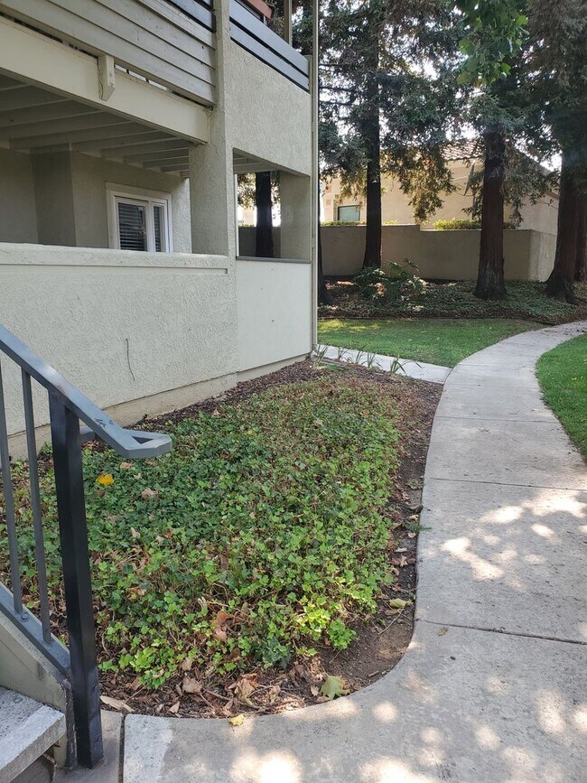 Building Photo - Concord/Clayton Border-Ground floor 1/1 w/ In Unit Laundry