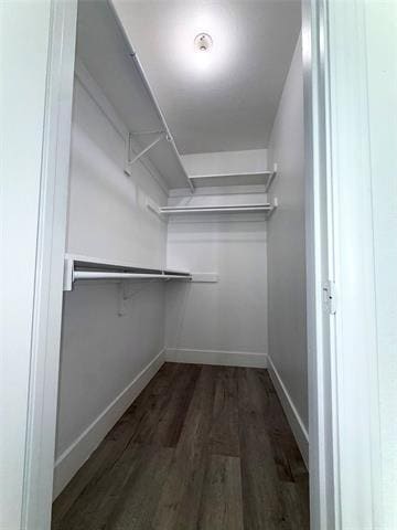 Building Photo - 4626 San Jacinto St