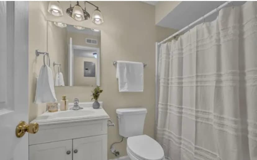 Hallway Bathroom - 4141 Spirea Dr