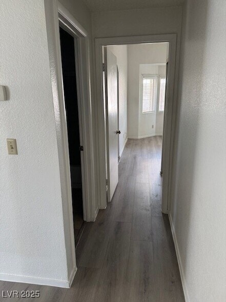 Building Photo - 1429 Lilac Breeze Cir
