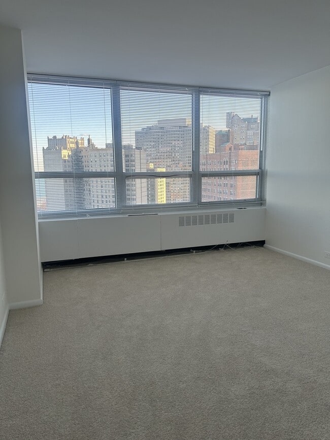 Building Photo - 4800 S Chicago Beach Dr