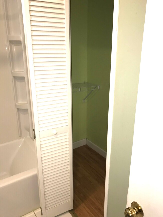 Bathroom Closet - 34175 N Hainesville Rd