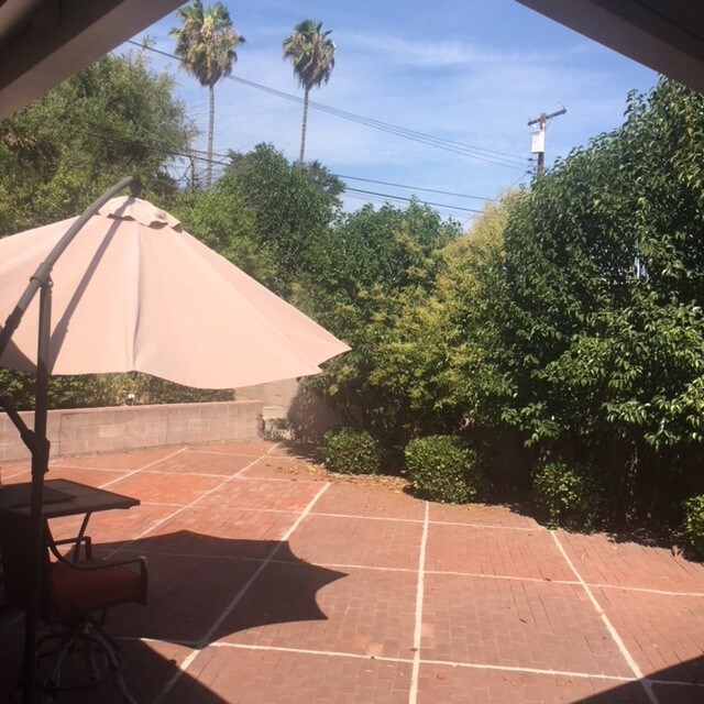 Patio - 13949 Oval Dr