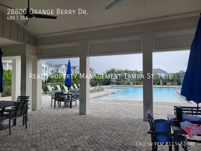 Building Photo - 28800 Orange Berry Dr