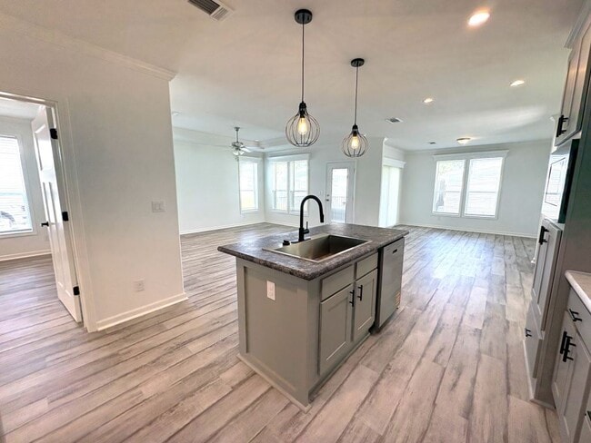 Building Photo - 1057 Vervain Dr