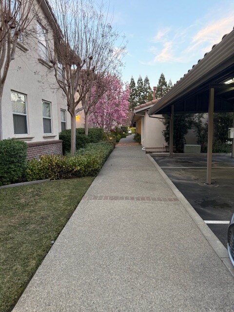 Building Photo - 600 Moraga Rd