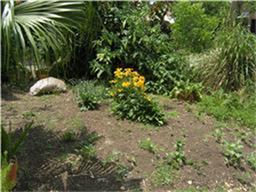 Building Photo - 1959 Lexington St