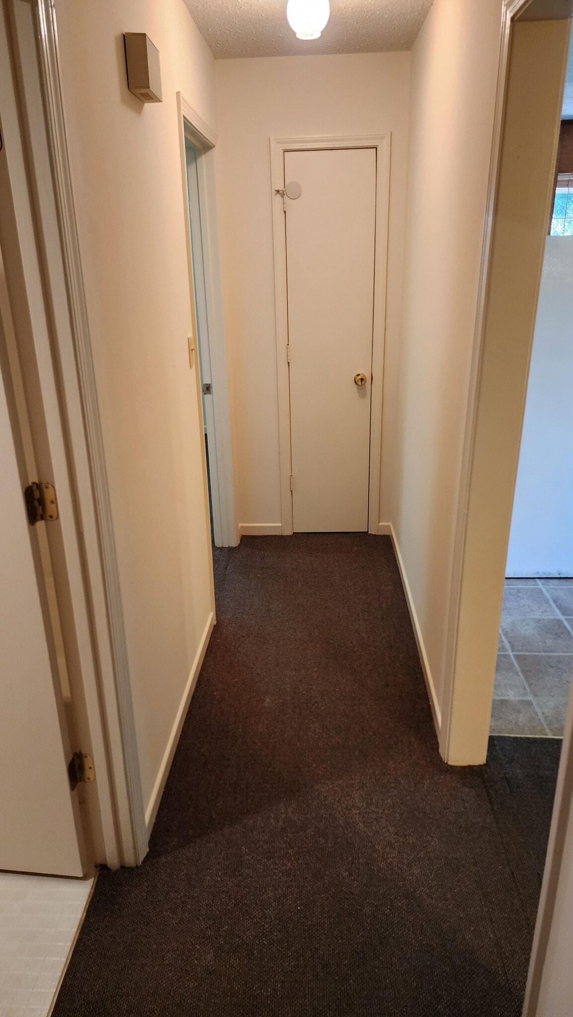 Hallway - 115 Hunter Dr