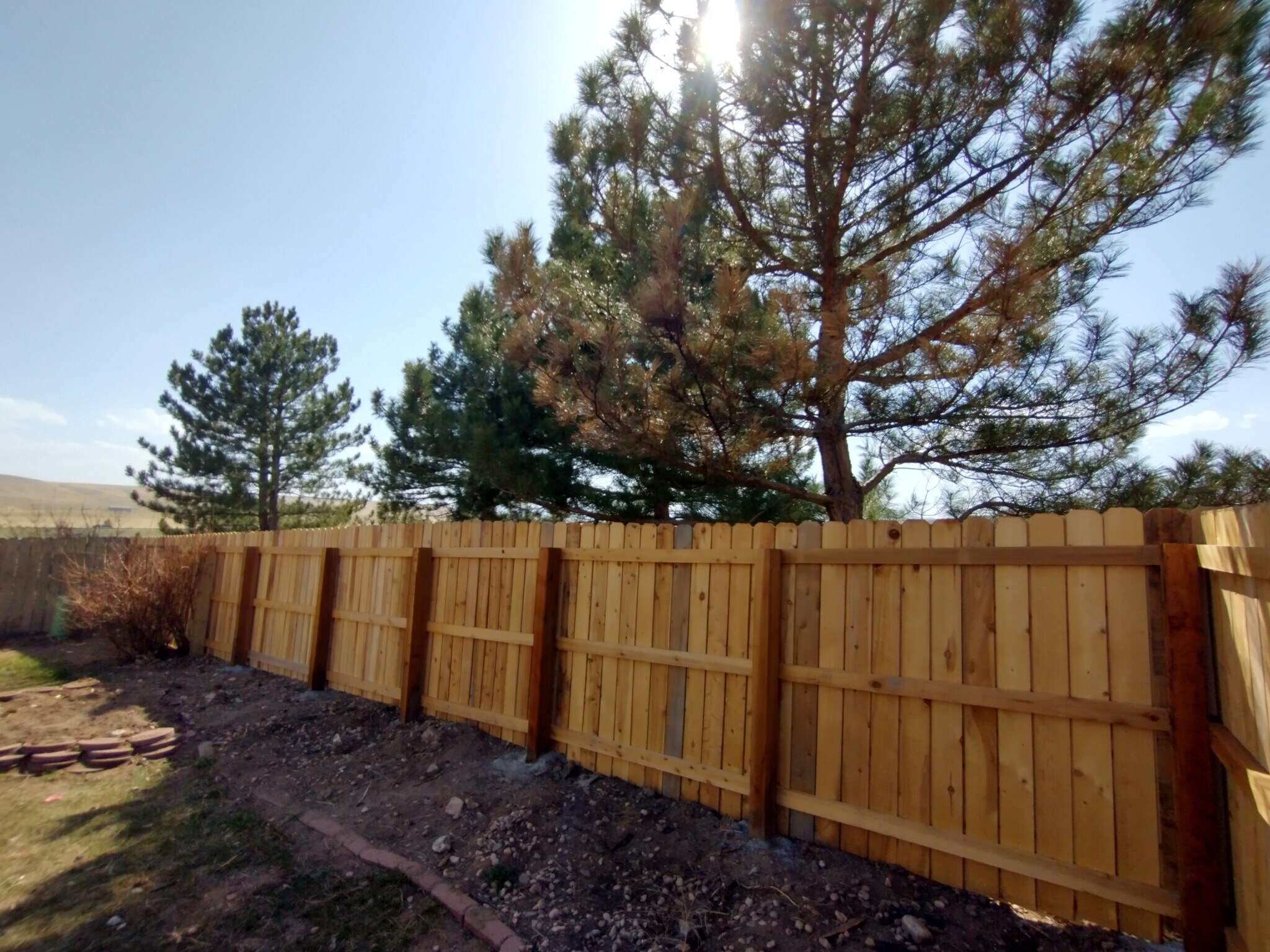Backyard - 2225 Andrew Dr