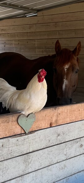 Building Photo - 21200 Westside Hwy SW