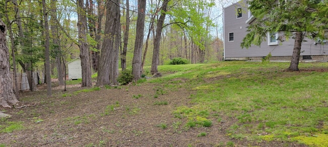 Building Photo - Unit A (Main House)