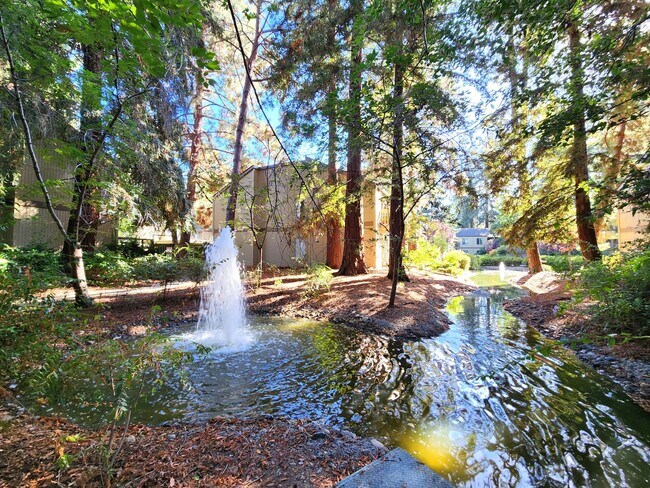 Building Photo - Charming 2BR/2BA Condo Steps from Downtown Mountain View
