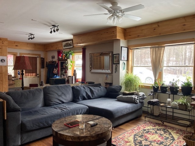 livingroom - 178 Walnut Dr