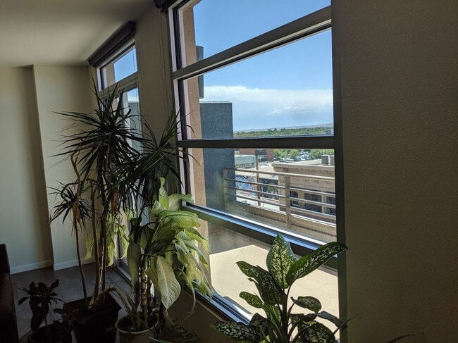 Building Photo - Downtown Living with great views