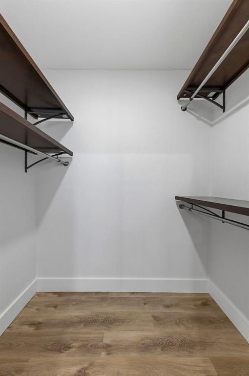 Building Photo - 3817 Leafield Dr