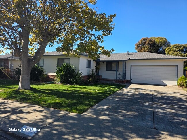 Primary Photo - 3979 Mulberry Dr