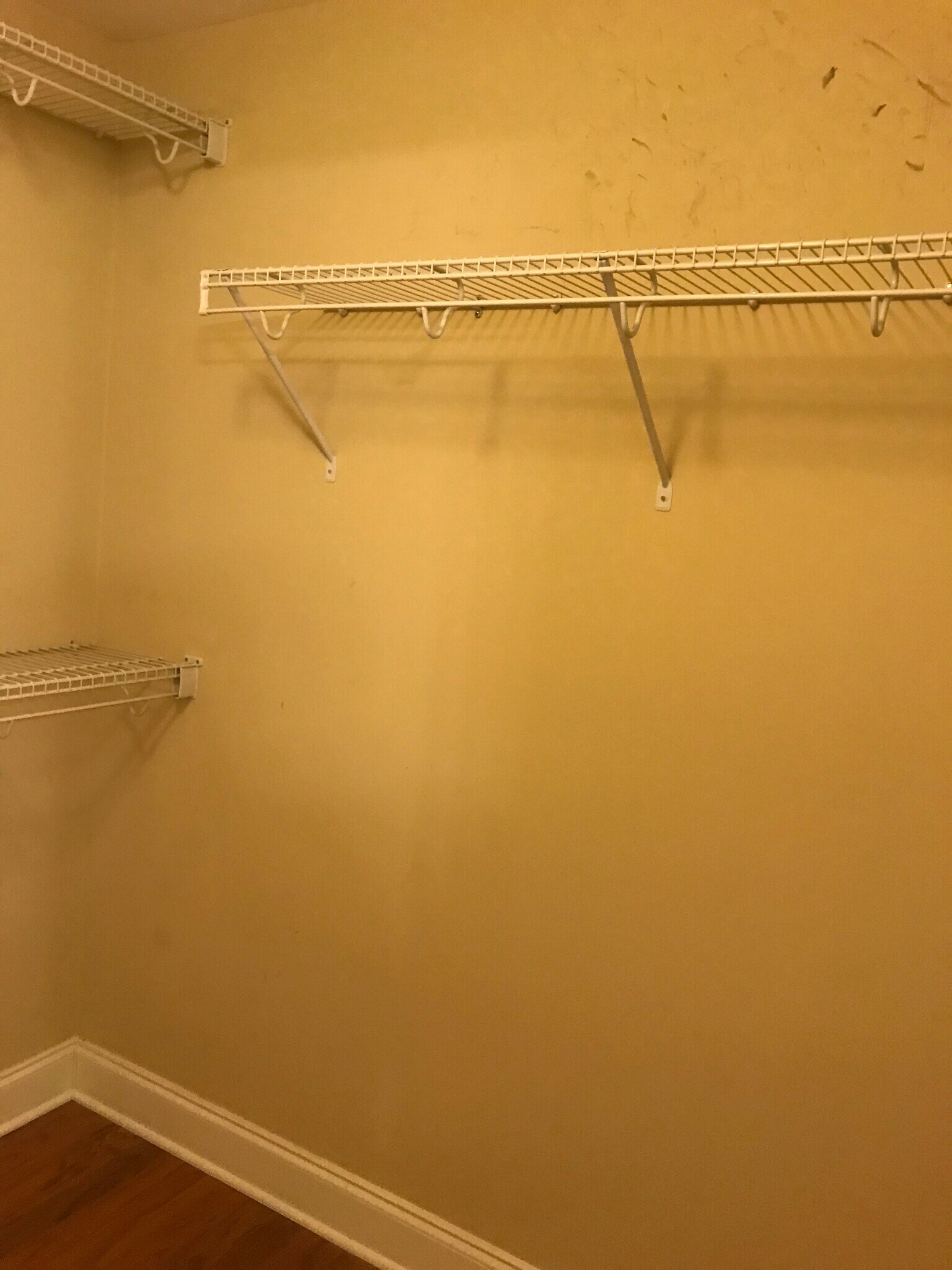 Master Closet - 3201 Aspen Grove Drive