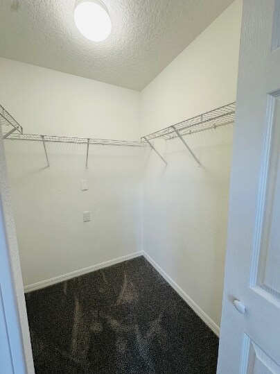 Building Photo - 203 Castlekeeper Pl