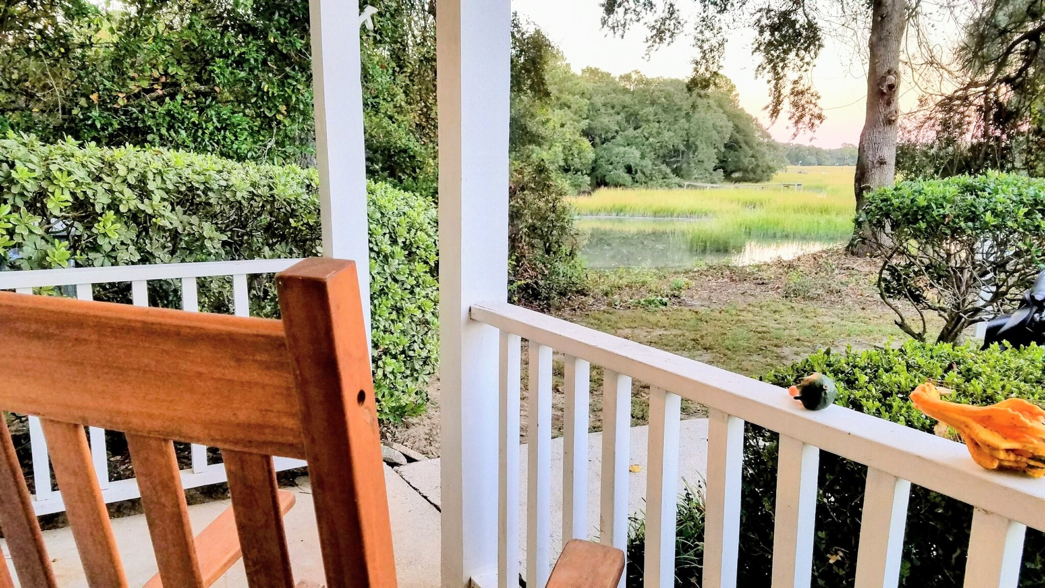 View from porch - 1428 DOVE RUN DR