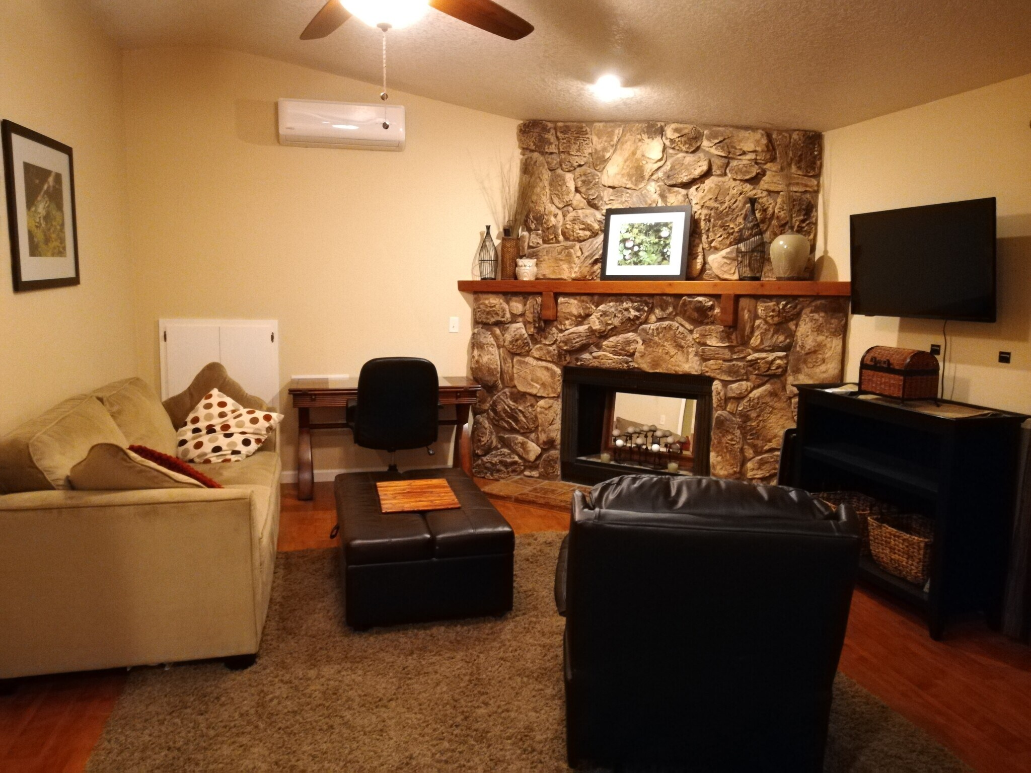Fire Place in Living Room - 19918 Damson Rd