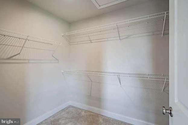 Building Photo - 608 Mockernut Ct