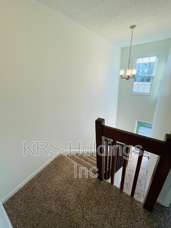 Building Photo - 1330 Rica Ct