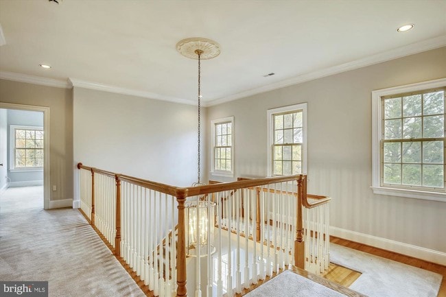 Building Photo - 2009 Mayfair McLean Ct