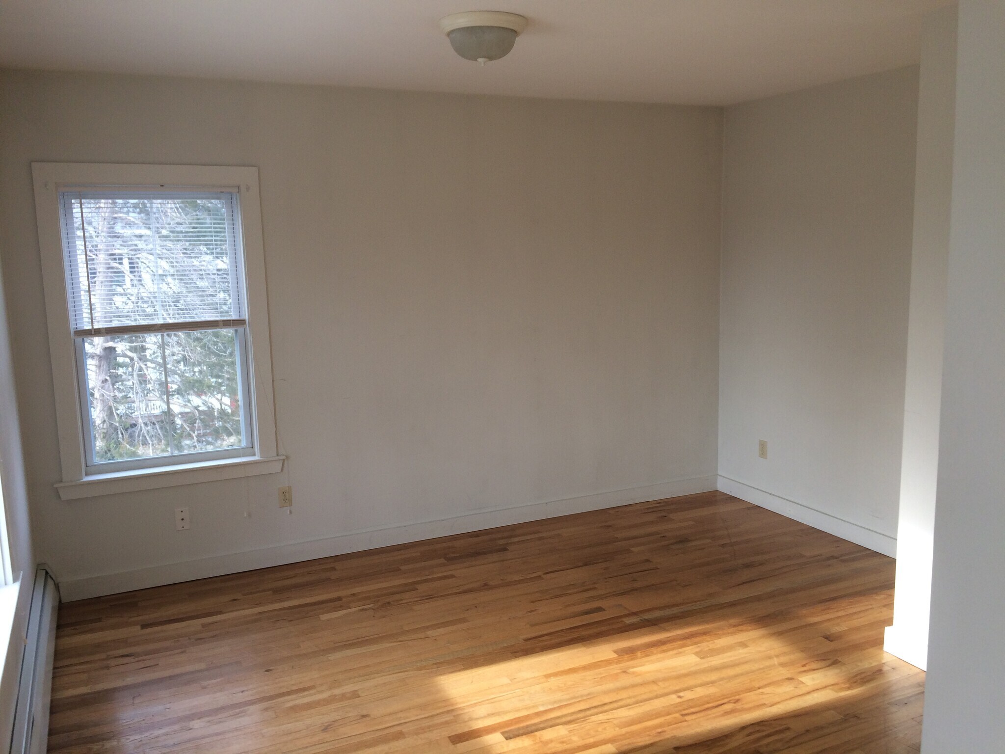 Building Photo - 97 Mawney St