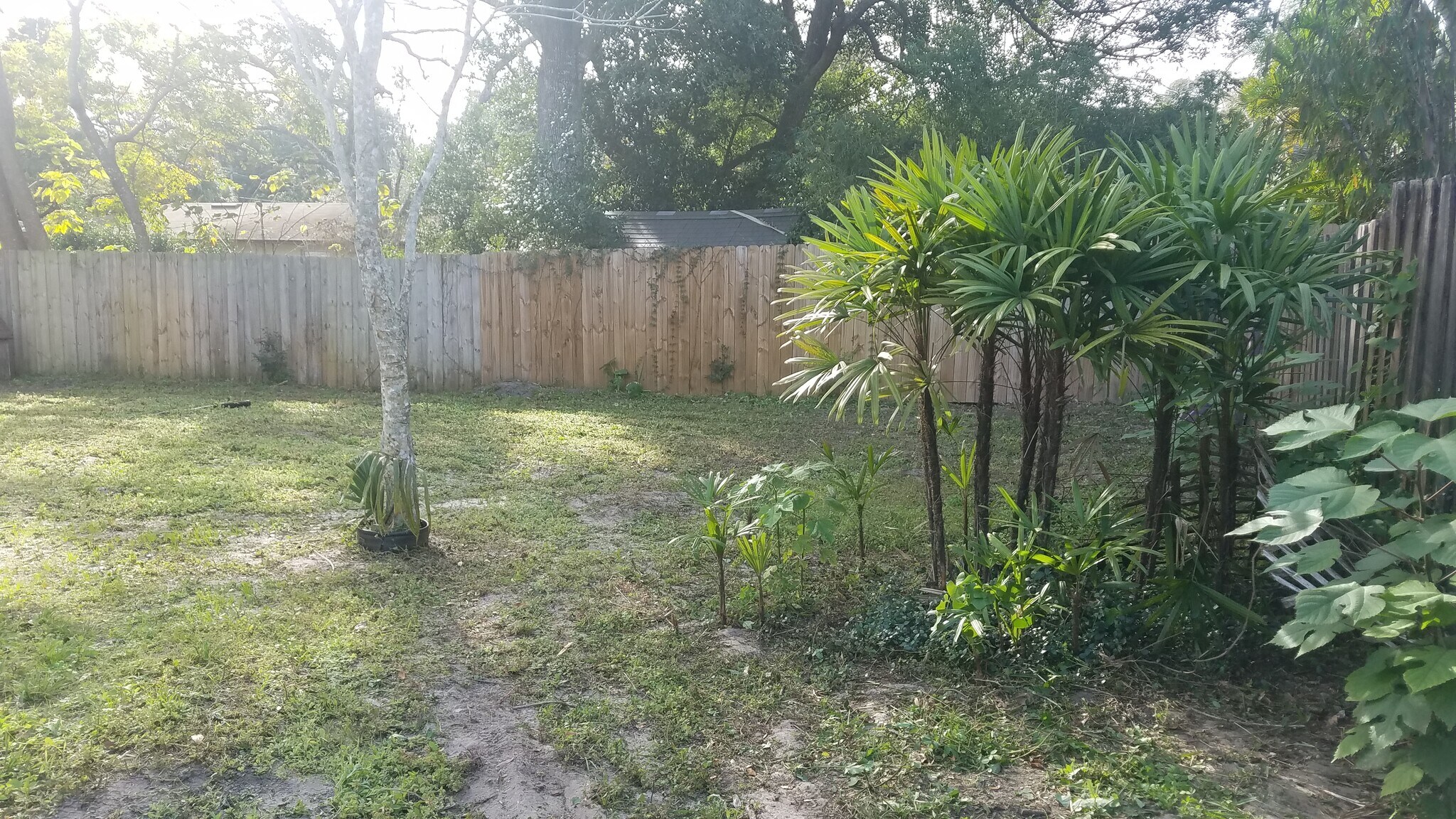 Building Photo - 2306 S Bumby Ave